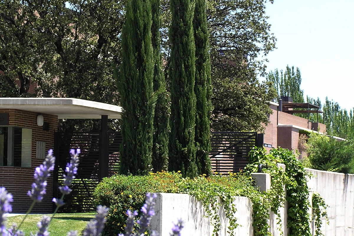 OLYMPUS DIGITAL CAMERA OLYMPUS DIGITAL CAMERA